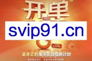 天下网商·淘宝天猫陪跑计划（更新4约）