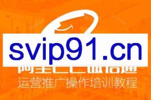 飞虎老师·阿里巴巴系统运营实战训练营（更新4月）