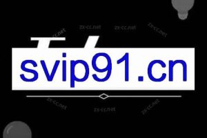 宝子哥·无人直播-非实时防风技术（更新5月）