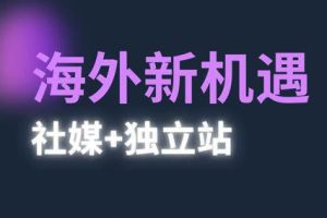 棕榈·2025出海新机遇（社媒+独立站）
