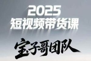 宝子哥头部团队短视频带货（更新5月）