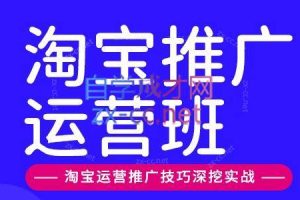 美迪电商·淘宝高级运营班+推广运营班（更新5月）