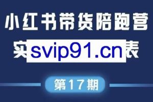 盗坤·抖音小红书视频号短视频带货与直播变现（11-17期）