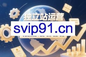 2025独立站运营实战全攻略