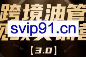 阿蔺Leo·跨境油管视频YouTube实训营(更新2025)