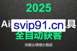 2025Ai数字人工具自动获客