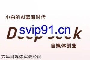 冰冰老师·普通人如何利用Deepseek创业