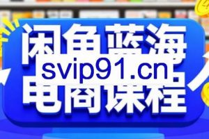 闲鱼蓝海电商课程