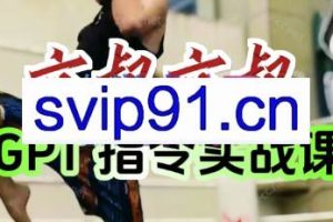 六叔的AI指令实战课（更新7月）