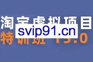 陆明明·淘宝虚拟项目特训班15.0（更新2025）