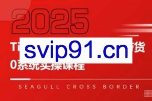 大亿老师·TikTok跨境0-1短视频带货