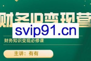 有有老师·财务IP变现营，财务知识变现必修课