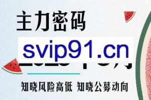 周公子·主力密码（更新8月）