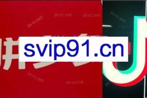 老陶电商·拼多多+抖音小店无货源开店（更新8月）