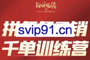 白凤电商·拼多多日销千单训练营（更新8月）