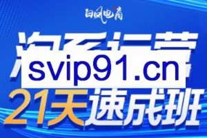 白凤电商·淘系运营21天速成班（更新8月）