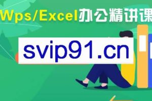 夏老师·WPS Excel办公（精讲课）