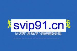 杨磊老师·2025短视频变现实战课