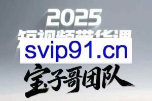 宝子哥头部团队短视频带货（更新9月）