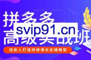 美迪创客·拼多多高级实战班+开店推广班（更新9月）