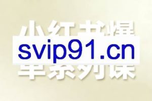 尼采老师·小红书爆单系列课