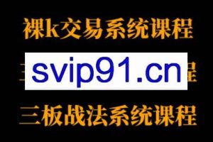 半山猎人三套系统课程（裸K体系、三点体系、三板体系）