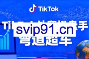 TikTok外贸操盘手(更新11月)
