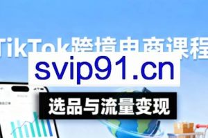 TikTok跨境电商实操课