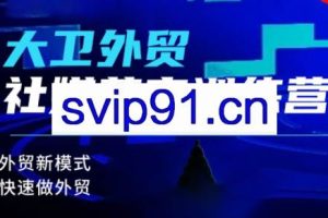 大卫老师·外贸社媒获客独家训练营（更新）