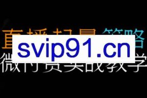 半野老师·直播带货起量与微付费必学课视频号