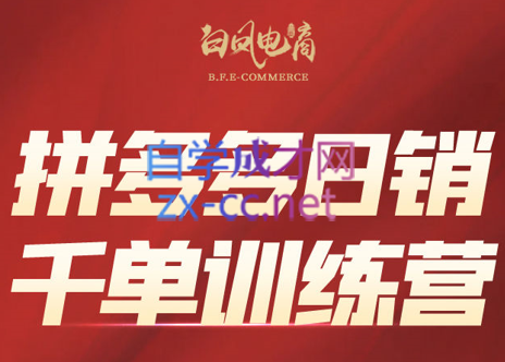 白凤电商·拼多多日销千单训练营(更新2026)