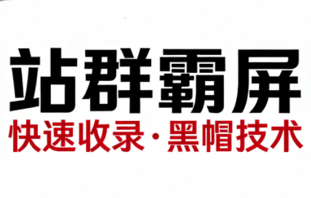 SEO野路子实战全集：快速收录、站群霸屏、黑帽技术