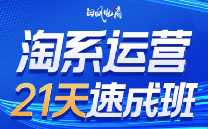 白凤电商·淘系运营21天速成班(更新2026)